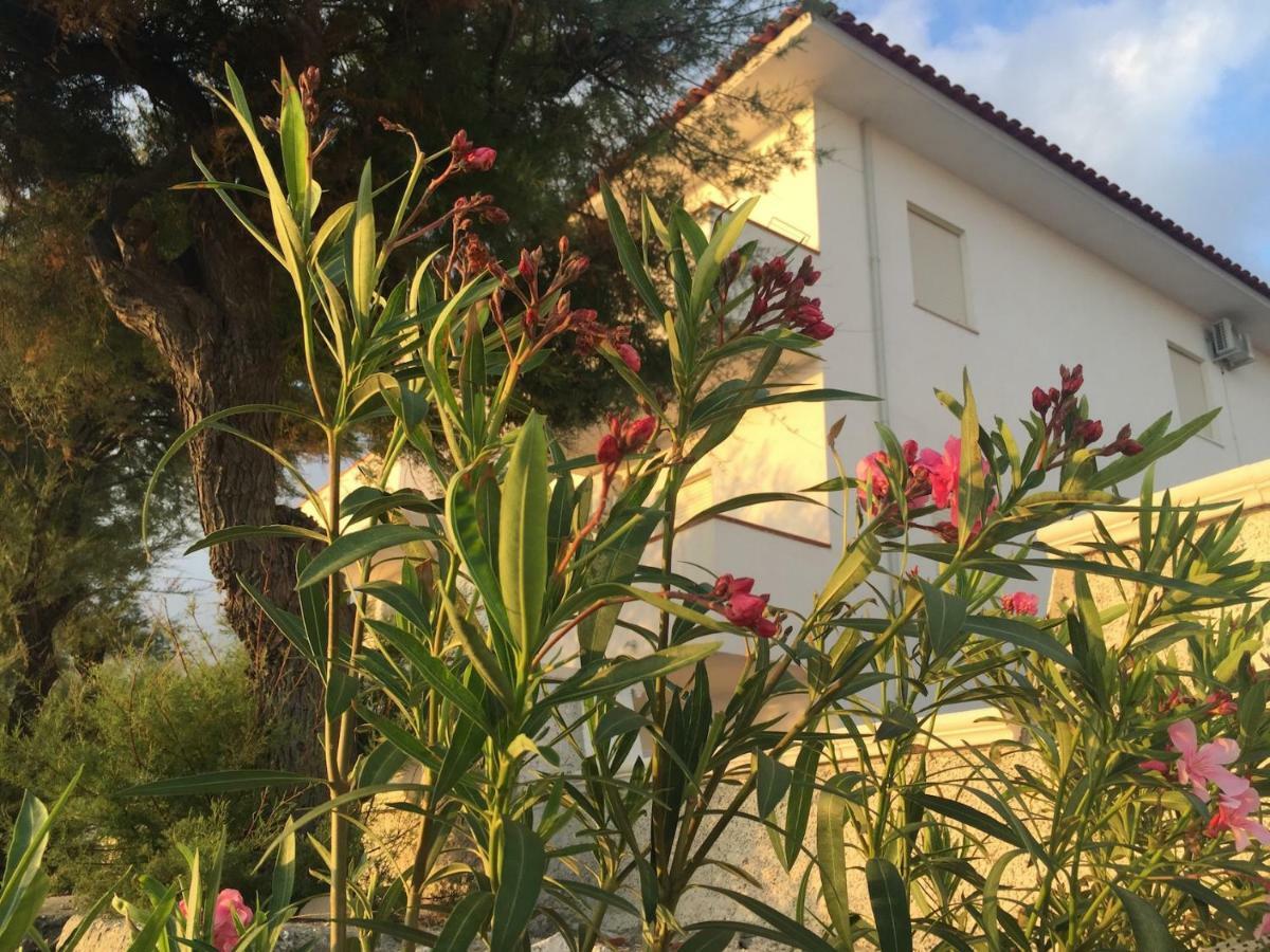 Rivamare Campora Casa Vacanze Campora San Giovanni Ngoại thất bức ảnh